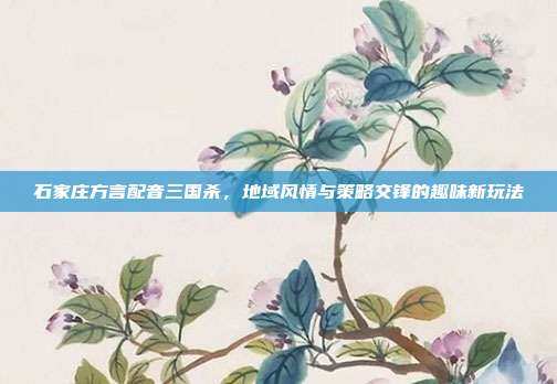 石家庄方言配音三国杀,地域风情与策略交锋的趣味新玩法