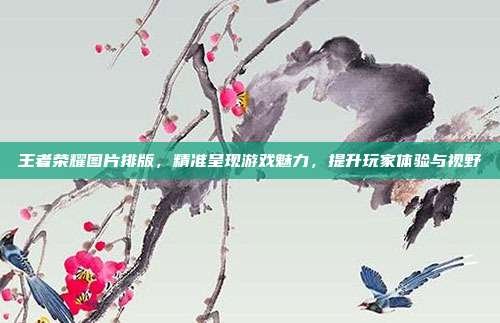 王者荣耀图片排版，精准呈现游戏魅力，提升玩家体验与视野