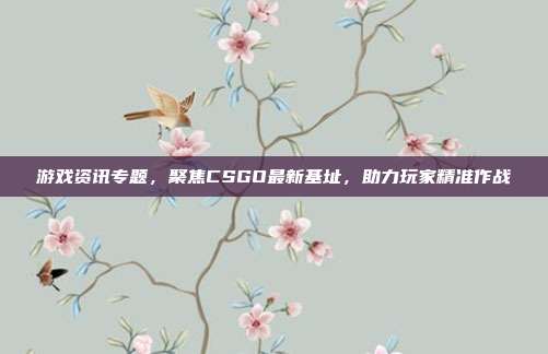 游戏资讯专题，聚焦CSGO最新基址，助力玩家精准作战
