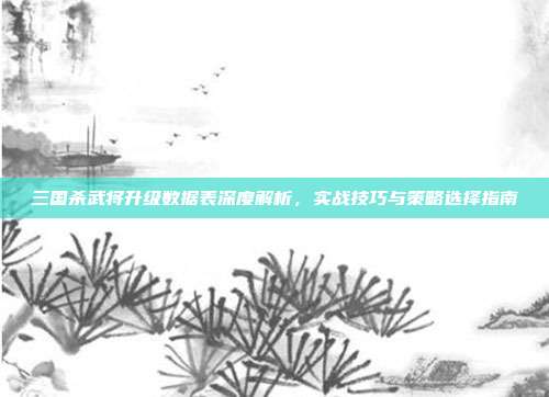 三国杀武将升级数据表深度解析，实战技巧与策略选择指南