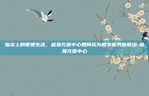 指尖上的便捷生活，盛易充值中心如何成为数字服务新枢纽-盛易充值中心