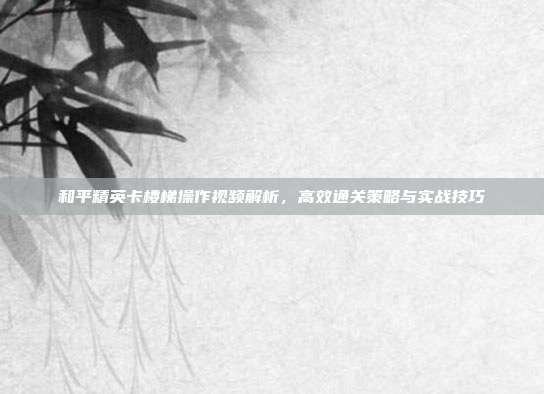 和平精英卡楼梯操作视频解析,高效通关策略与实战技巧