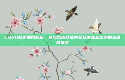CSGO贴纸期限解析,从游戏皮肤延伸至玩家生态影响的全维度指南