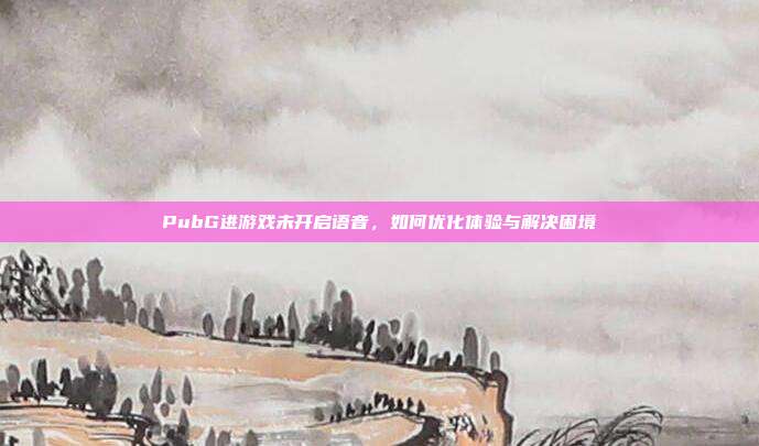 PubG进游戏未开启语音，如何优化体验与解决困境