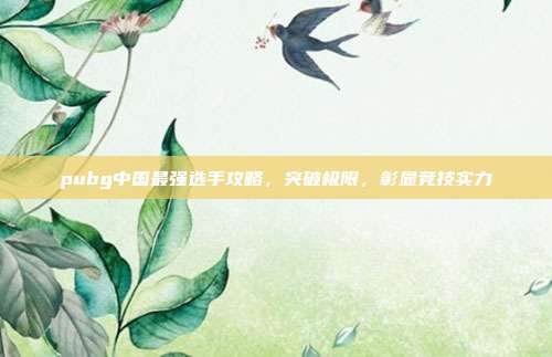 pubg中国最强选手攻略,突破极限,彰显竞技实力