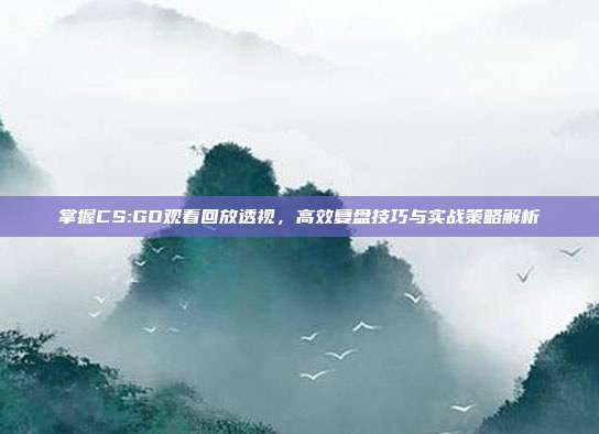 掌握CS:GO观看回放透视,高效复盘技巧与实战策略解析