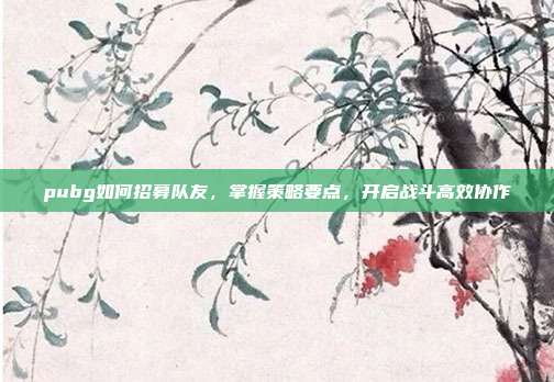 pubg如何招募队友,掌握策略要点,开启战斗高效协作