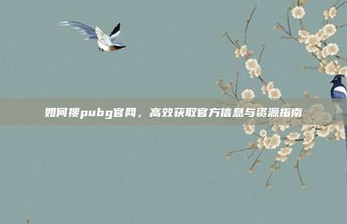 如何搜pubg官网,高效获取官方信息与资源指南