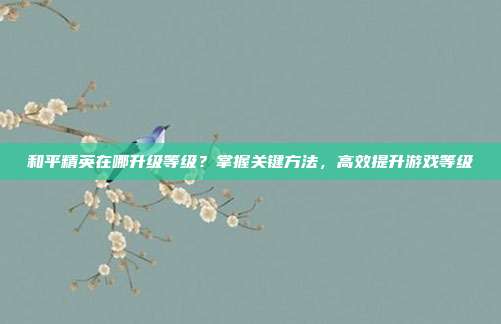 和平精英在哪升级等级?掌握关键方法,高效提升游戏等级