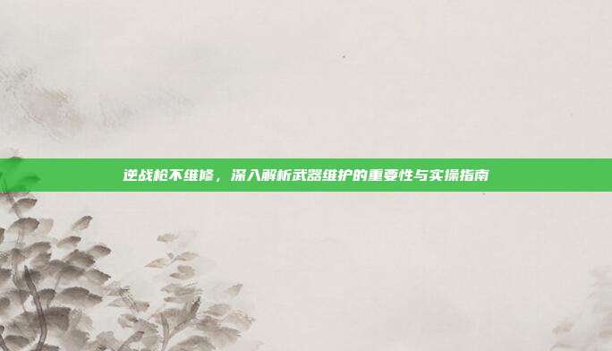 逆战枪不维修,深入解析武器维护的重要性与实操指南