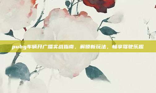pubg车辆开广播实战指南,解锁新玩法,畅享驾驶乐趣