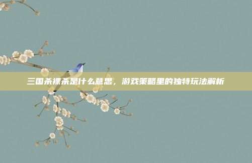 三国杀裸杀是什么意思，游戏策略里的独特玩法解析