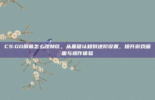 CS:GO屏幕怎么改赫兹,从基础认知到进阶设置,提升游戏画面与操作体验