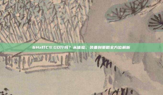 6Hz打CS:GO行吗?从体验、装备到策略全方位解析