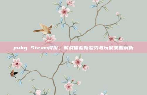 pubg Steam降价，游戏体验新趋势与玩家策略解析