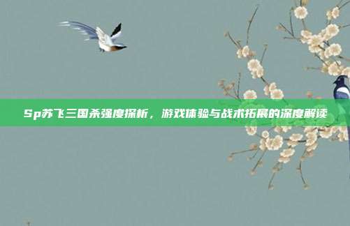 Sp苏飞三国杀强度探析,游戏体验与战术拓展的深度解读