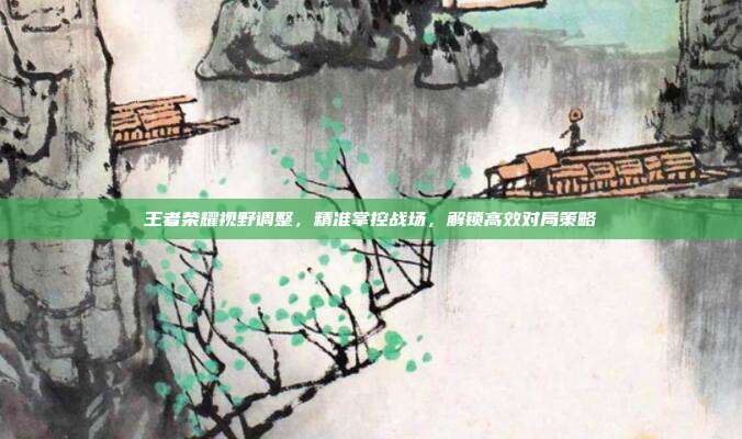 王者荣耀视野调整，精准掌控战场，解锁高效对局策略