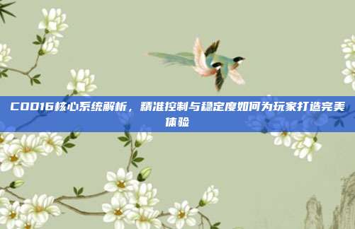 COD16核心系统解析，精准控制与稳定度如何为玩家打造完美体验