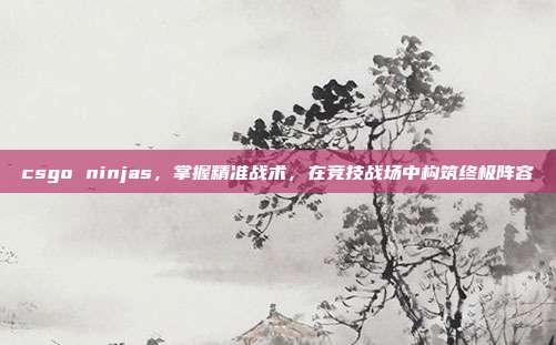 csgo ninjas,掌握精准战术,在竞技战场中构筑终极阵容