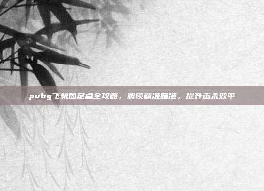 pubg飞机固定点全攻略，解锁精准瞄准，提升击杀效率