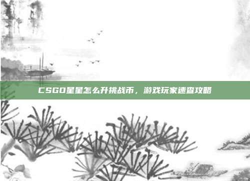 CSGO星星怎么升挑战币,游戏玩家速查攻略