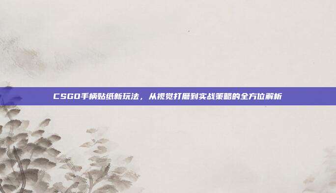 CSGO手柄贴纸新玩法,从视觉打磨到实战策略的全方位解析