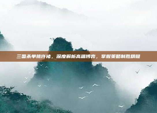 三国杀单挑许褚，深度解析高端博弈，掌握策略制胜精髓