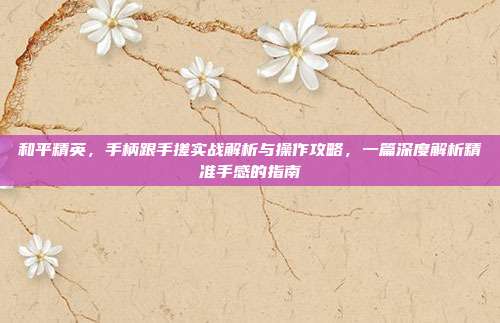 和平精英,手柄跟手搓实战解析与操作攻略,一篇深度解析精准手感的指南