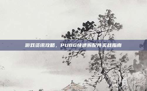 游戏资讯攻略,PUBG快速拆配件实战指南