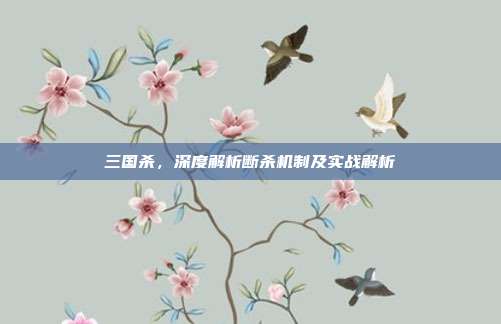 三国杀,深度解析断杀机制及实战解析