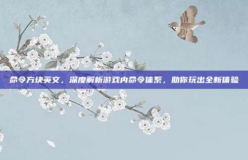命令方块英文，深度解析游戏内命令体系，助你玩出全新体验