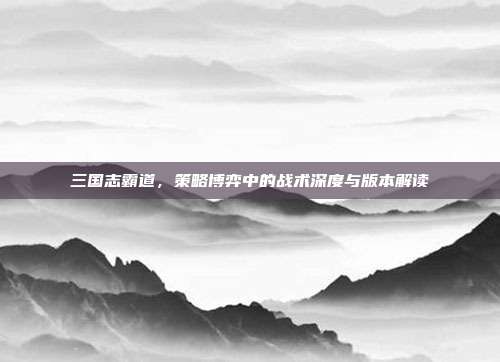 三国志霸道,策略博弈中的战术深度与版本解读