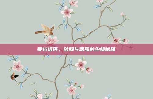 蒙特祖玛,破解与驾驭的终极秘籍