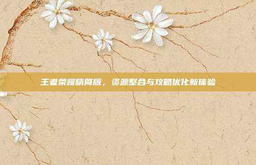 王者荣耀精简版，资源整合与攻略优化新体验