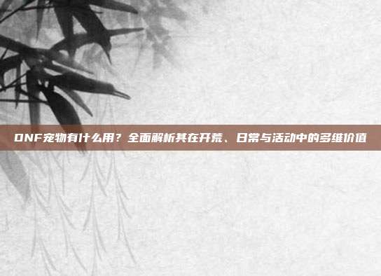 DNF宠物有什么用?全面解析其在开荒、日常与活动中的多维价值