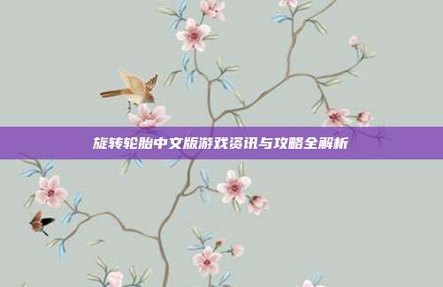 旋转轮胎中文版游戏资讯与攻略全解析