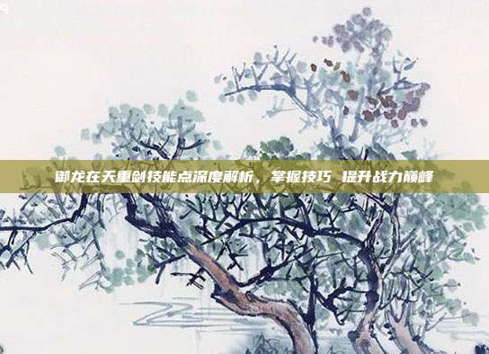 御龙在天重剑技能点深度解析,掌握技巧 提升战力巅峰