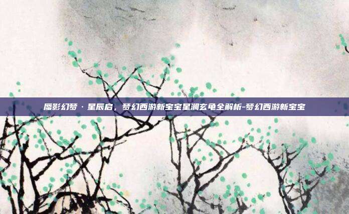 蜃影幻梦·星辰启，梦幻西游新宝宝星澜玄龟全解析-梦幻西游新宝宝