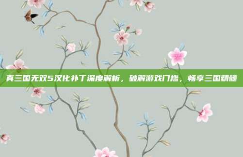 真三国无双5汉化补丁深度解析，破解游戏门槛，畅享三国精髓