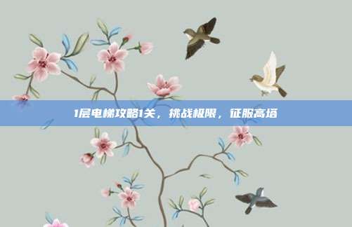 1层电梯攻略1关,挑战极限,征服高塔