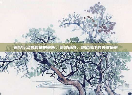 荒野行动最新辅助解析,高效破局、精准操作的关键指南