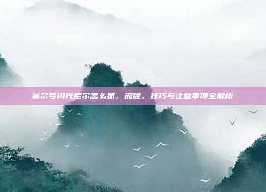 赛尔号闪光尼尔怎么抓,流程、技巧与注意事项全解析