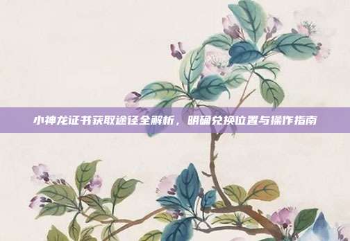 小神龙证书获取途径全解析，明确兑换位置与操作指南
