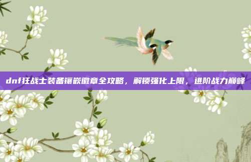 dnf狂战士装备镶嵌徽章全攻略,解锁强化上限,进阶战力巅峰