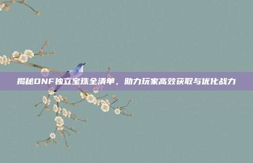 揭秘DNF独立宝珠全清单,助力玩家高效获取与优化战力