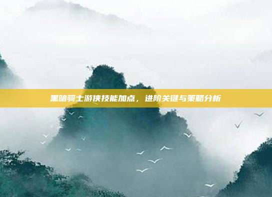 黑暗骑士游侠技能加点,进阶关键与策略分析