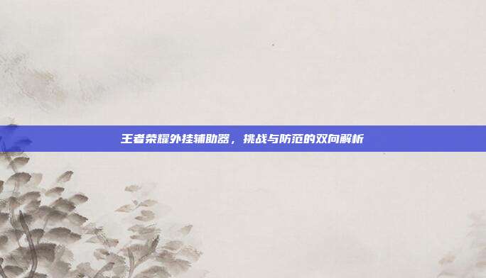 王者荣耀外挂辅助器，挑战与防范的双向解析