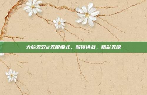 大蛇无双2无限模式,解锁挑战,精彩无限
