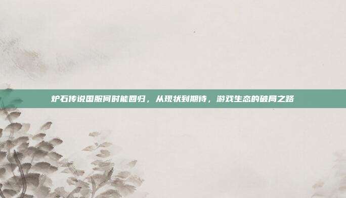 炉石传说国服何时能回归,从现状到期待,游戏生态的破局之路