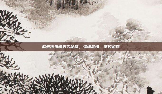 赵云传纵横天下秘籍，纵横战场，掌控机遇